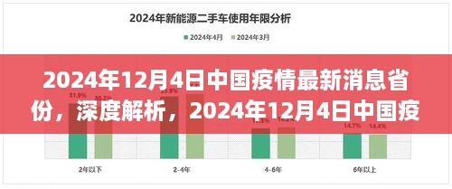 深度解析，2024年12月4日中国疫情最新消息省份的全面评测与最新进展