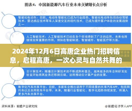 启程高唐，心灵与自然共舞的工作之旅——热门招聘信息发布（2024年12月6日）