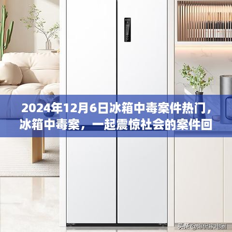 冰箱中毒案震惊社会，一起2024年热门案件回顾