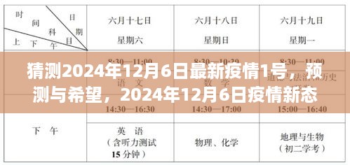 2024年12月6日疫情新态势展望，预测与希望，最新疫情动态分析