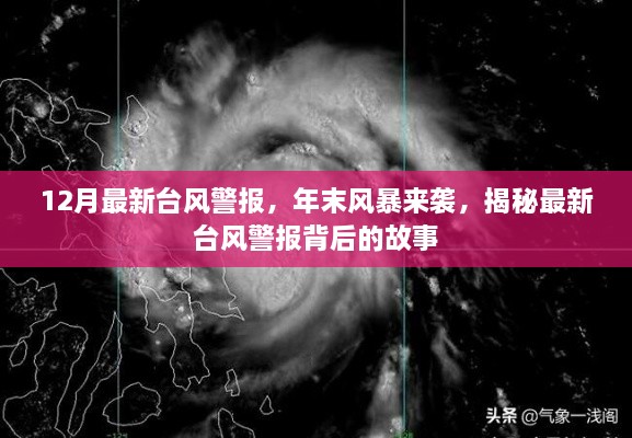 揭秘年末风暴来袭，最新台风警报背后的故事