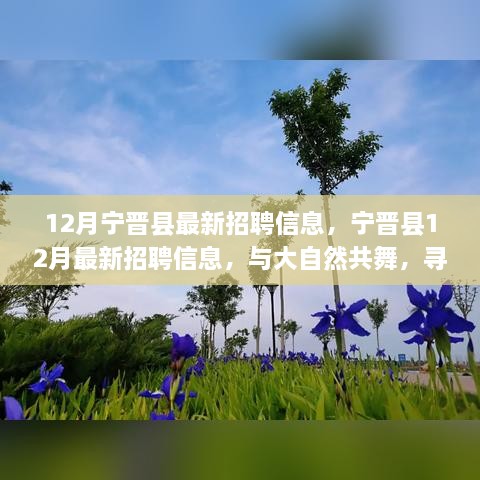 宁晋县12月最新招聘信息发布，与自然共舞，寻找心灵宁静之旅