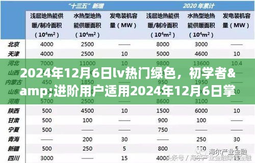 掌握LV热门绿色搭配与选购技巧的全面指南（初学者与进阶用户适用）