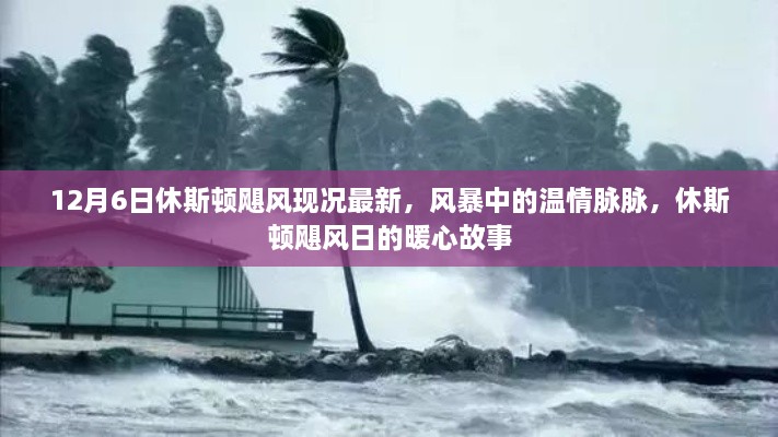 休斯顿飓风最新现况，风暴中的温情与暖心故事