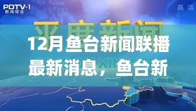 鱼台新闻联播最新消息深度解读与多维度分析，聚焦某某观点