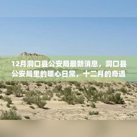 12月洞口县公安局最新消息，洞口县公安局里的暖心日常，十二月的奇遇与友情传递温情