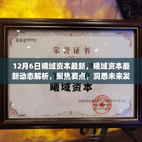 曦域资本最新动态解析，洞悉未来发展趋势，聚焦要点揭秘未来方向