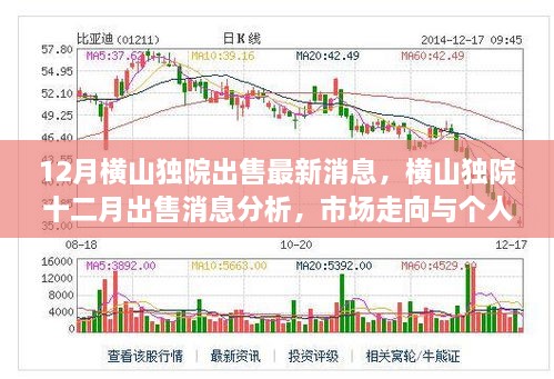 2024年12月8日 第14页