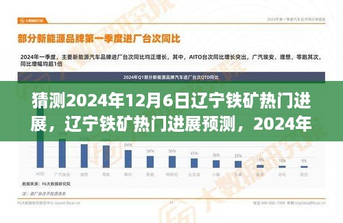 辽宁铁矿行业洞察，预测未来2024年12月6日的热门进展与个人观点分析