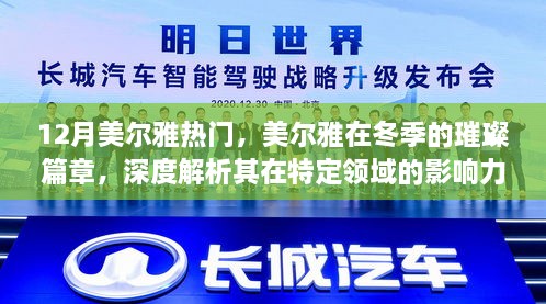 12月美尔雅热门，美尔雅在冬季的璀璨篇章，深度解析其在特定领域的影响力与重要性