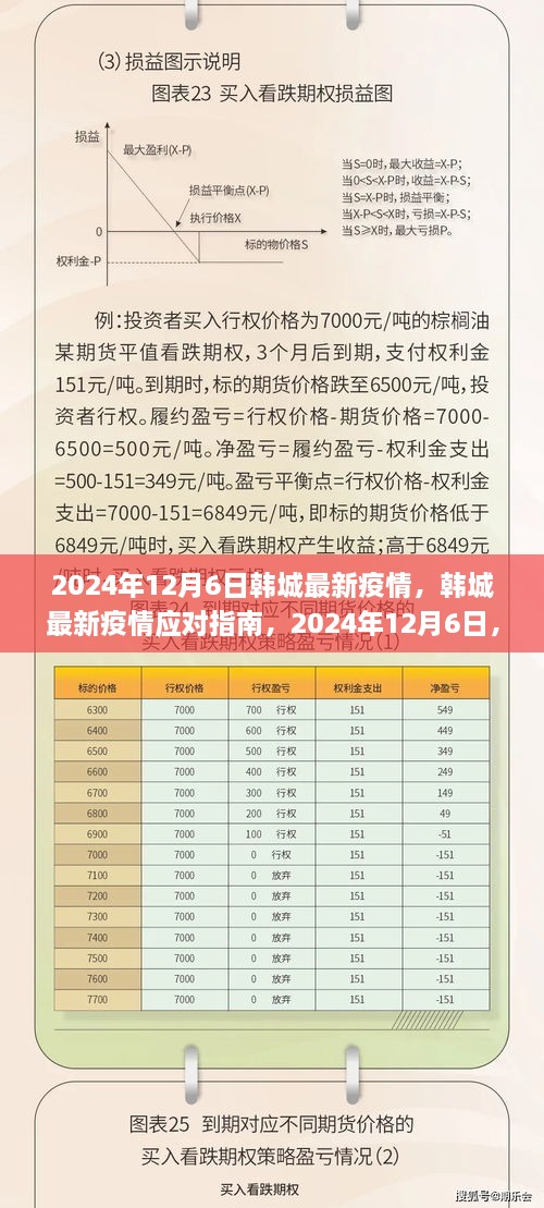 韩城最新疫情应对指南，初学者与进阶用户防护手册（2024年12月6日）