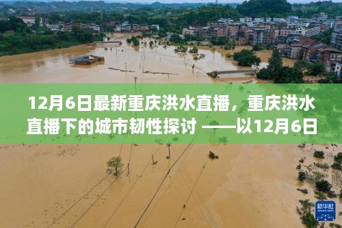 重庆洪水直播下的城市韧性观察与探讨，以最新洪水直播为例分析城市应对能力