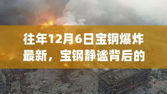 宝钢静谧背后的自然之旅，一场远离尘嚣的心灵探索之旅揭秘往年爆炸真相