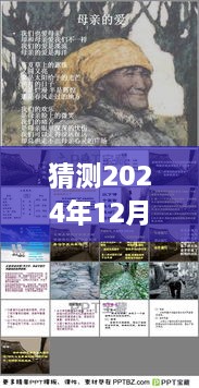 未来处长号段预测馆，探秘小巷特色，揭秘2024年最新处长号段猜测