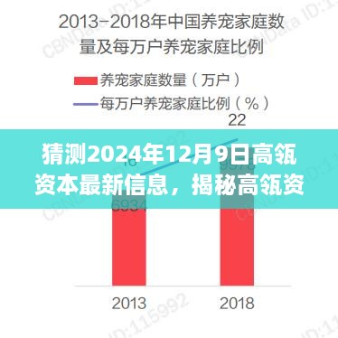 高瓴资本最新动态揭秘，2024年12月9日展望与小巷深处特色小店的探秘之旅