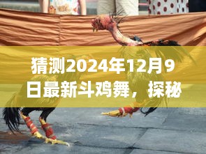 猜测2024年12月9日最新斗鸡舞，探秘斗鸡舞新篇章，自然美景之旅的呼唤与启示