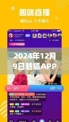 魅狐APP的温馨日常，友情、陪伴与爱的奇妙故事