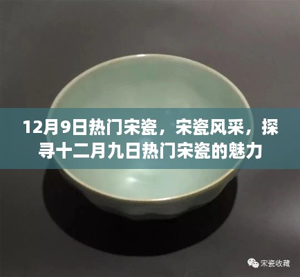 探寻十二月九日热门宋瓷的魅力，宋瓷风采展启幕在即