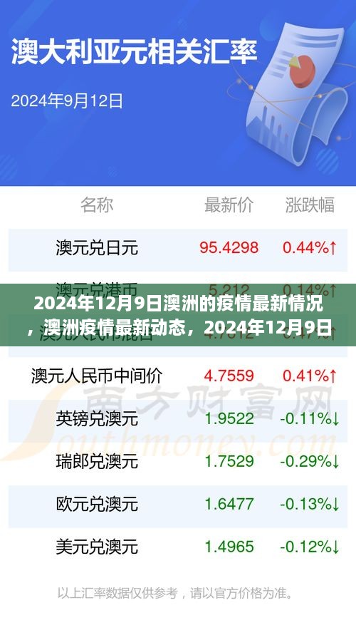 2024年12月10日 第22页