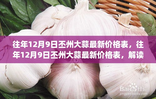 往年12月9日丕州大蒜市场深度解析，价格波动与趋势展望