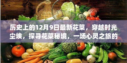 穿越时光尘埃，探寻花菜秘境，心灵之旅的启示录——历史上的12月9日最新花菜