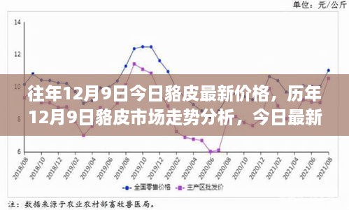 揭秘今日貉皮最新价格及历年市场走势分析