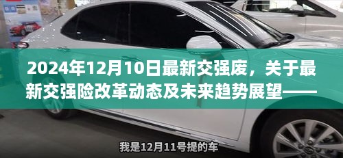 聚焦交强险改革动态，最新调整及未来趋势展望（2024年12月10日更新）