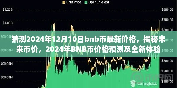 揭秘，BNB币未来走势预测与全新体验，预计至2024年12月10日的BNB币最新价格揭晓！