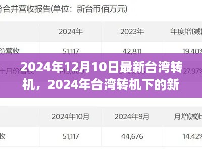 2024年台湾转机下的新态势解析