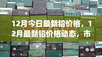 最新铅价动态，市场走势分析与预测，12月铅价展望