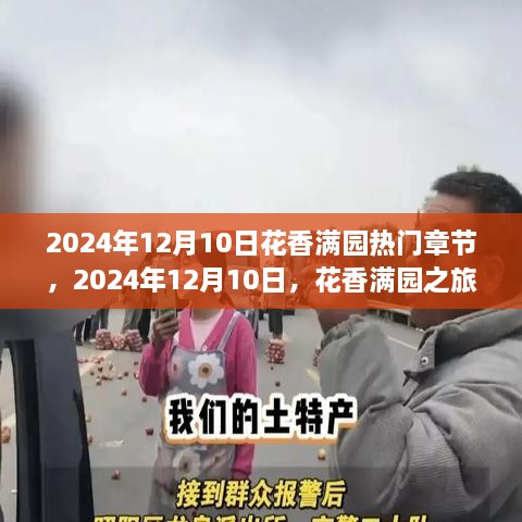 花香满园之旅，寻找心灵静谧之地的热门章节（2024年12月10日）