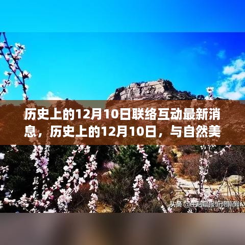 历史上的12月10日，自然美景的奇妙邂逅与心灵之旅的最新消息