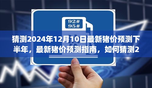 2024年12月猪价预测，下半年走势分析及预测指南