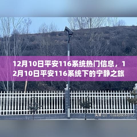 12月10日平安116系统，与自然美景的不解之缘的宁静之旅