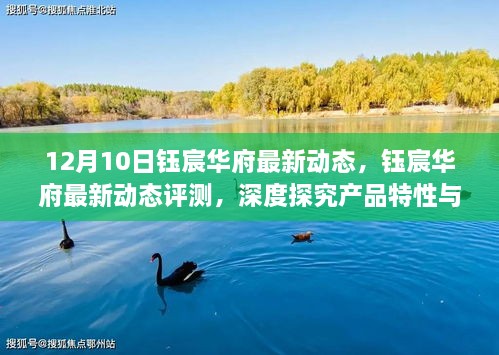 12月10日钰宸华府最新动态深度解析，产品特性与用户体验全面评测