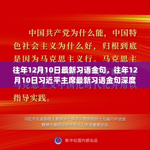 往年12月10日习语金句解读，深度剖析习近平主席的最新言论