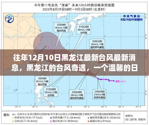 黑龙江台风奇遇记，温馨日常故事与最新消息回顾