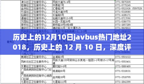 历史上的12月10日javbus热门地址回顾与深度评测，综合表现与目标用户群体分析