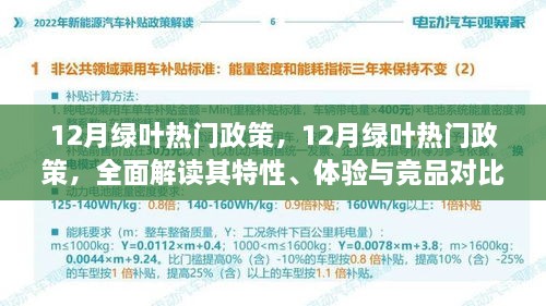 12月绿叶热门政策全面解读，特性、体验与竞品对比详解