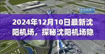 探秘沈阳机场隐藏小巷的特色小店，独特风味惊艳味蕾的2024年美食之旅