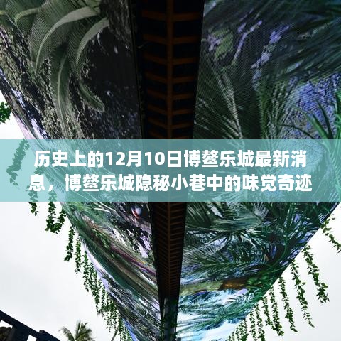 博鳌乐城隐秘小巷的美食传奇与历史瞬间，12月10日的味觉奇迹与非凡故事