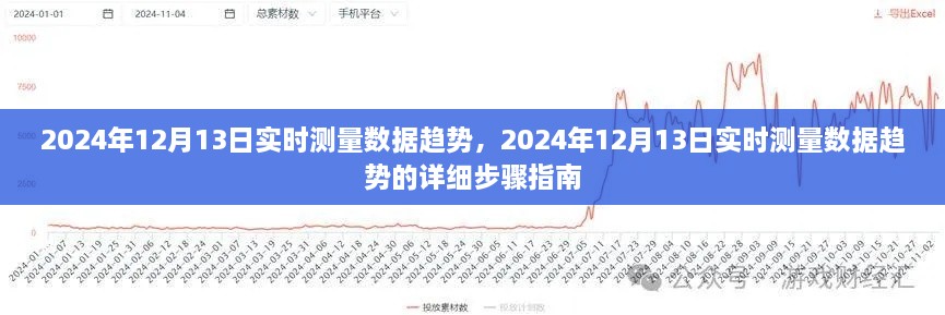 建议，实时测量数据趋势详解，2024年12月13日步骤指南