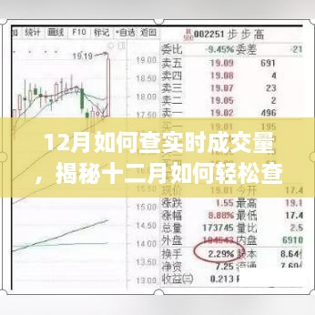 揭秘十二月实时成交量查询技巧，实用指南助你洞悉市场动态