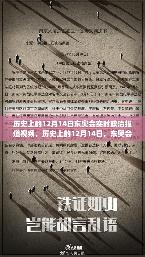 历史上的12月14日东奥会政治报道回顾，实时视频揭示政治动态与变迁