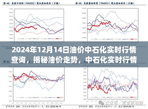 揭秘油价走势，中石化实时行情查询与未来展望（最新油价更新，2024年12月版）