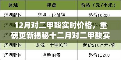 十二月对二甲酸实时价格揭秘，市场动态与最新行情小红书预测