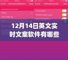 聚焦12月14日英文实时文案软件市场，测评与概览