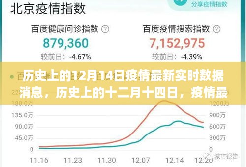 历史上的十二月十四日疫情深度解析，最新实时数据消息汇总