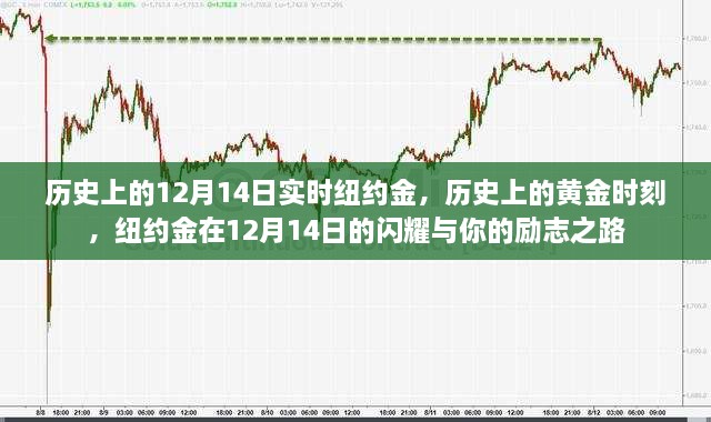 纽约金闪耀历史时刻，黄金励志之路的见证与启示（12月14日回顾）