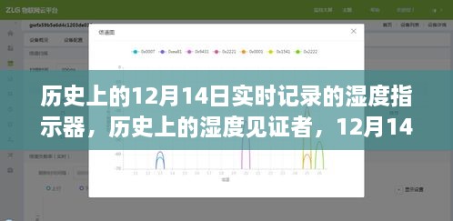 12月14日湿度见证者，实时记录的湿度指示器深度评测与历程回顾